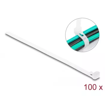 DeLOCK Herbruikbare kabelbinders, 200 x 7.2 mm, wit, 100 st.