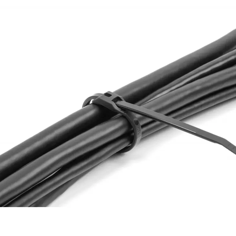 Kabelbinder DeLOCK 19466 polyamide zwart 205 mm 100 stuks