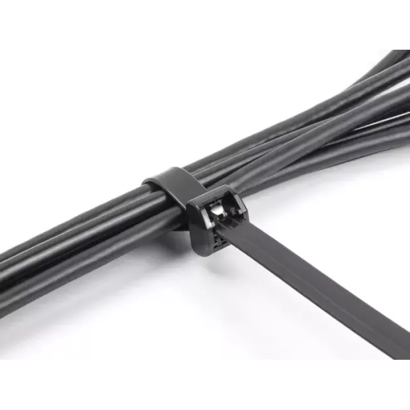 DeLOCK Kabelbinders met metalen tong, 203 x 12.7 mm, zwart, 10 st.
