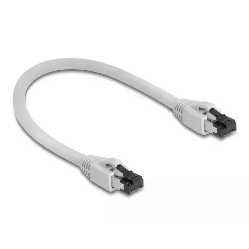Netwerkkabel DeLOCK 80556 RJ-45 Cat8.1 0,25 m grijs