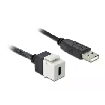 Keystone-module DeLOCK 86382 plat zwart wit USB C