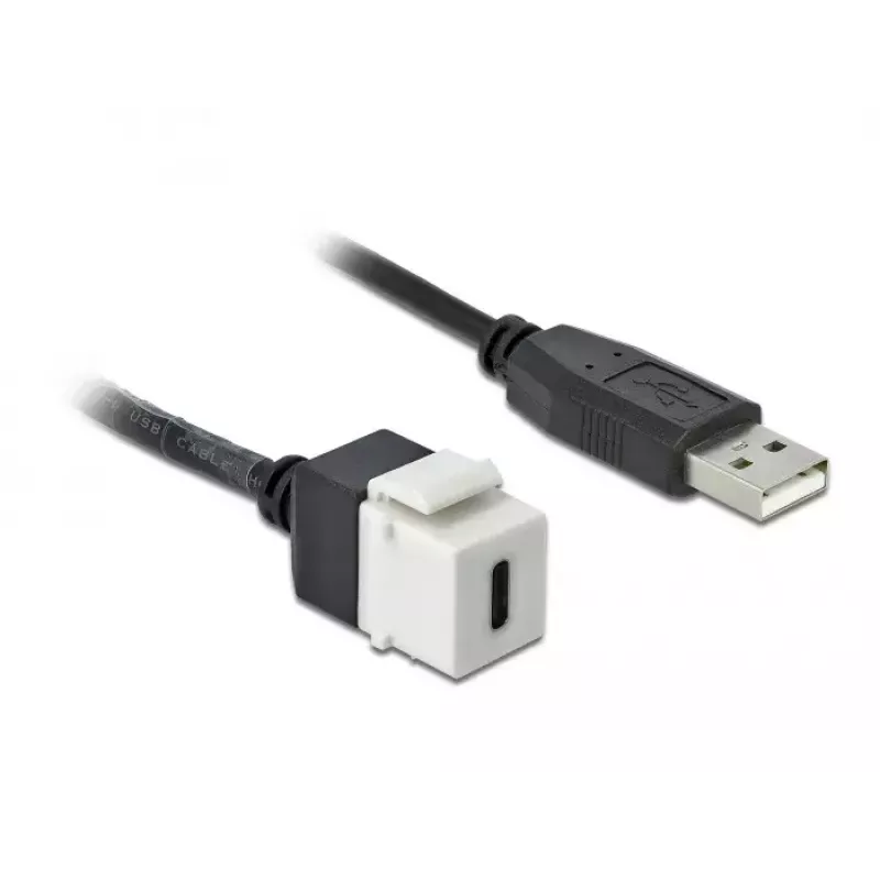 Keystone-module DeLOCK 86382 plat zwart wit USB C