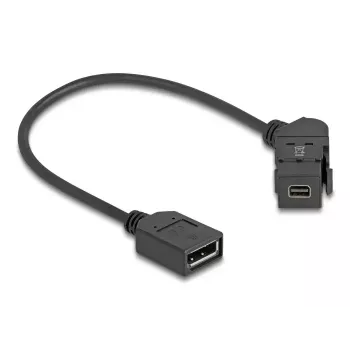 DeLOCK 67155 kabel gender changer Mini DisplayPort DisplayPort zwart 0,3 m