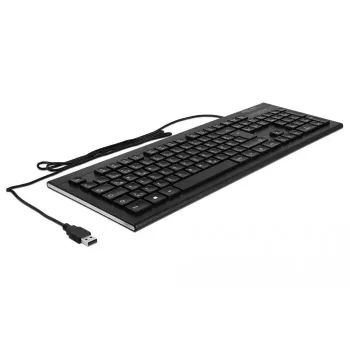 DeLOCK 12672 toetsenbord Office USB QWERTZ Duits zwart