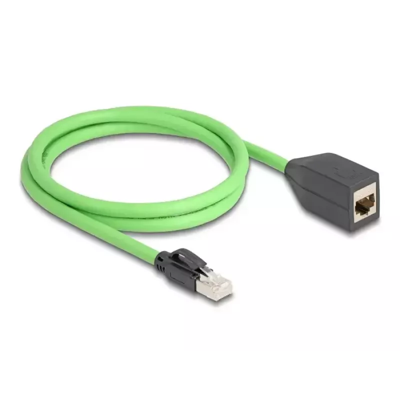 Netwerkkabel DeLOCK 80880 RJ-45 Cat6a 1 m groen