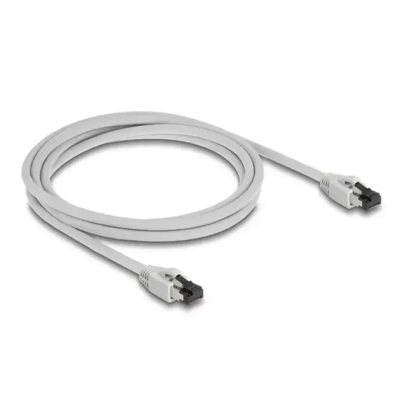 Netwerkkabel DeLOCK 80560 RJ-45 Cat8.1 2m grijs