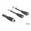 DeLOCK 60651 sensor-/actorkabel 3 m M12 2 x USB Type-A zwart