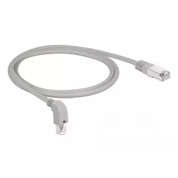 Netwerkkabel DeLOCK 85874 RJ-45 Cat6a 1 m grijs