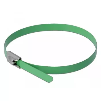 Kabelbinder DeLOCK 18802 staal groen 300 mm 10 stuks