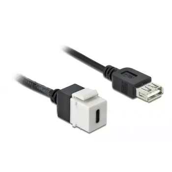 Keystone-module DeLOCK 86391 USB C plat zwart wit