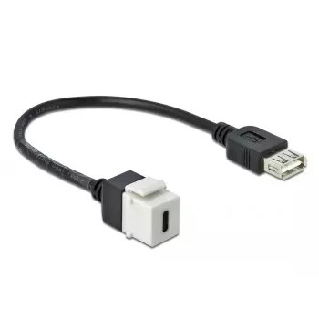Keystone-module DeLOCK 86391 USB C plat zwart wit