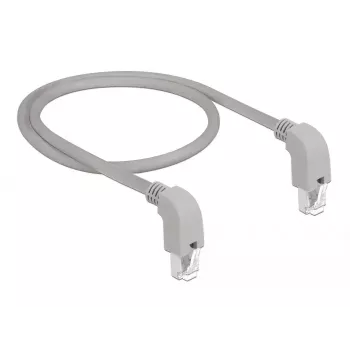 Netwerkkabel DeLOCK 85859 Cat5e SF/UTP 1m grijs