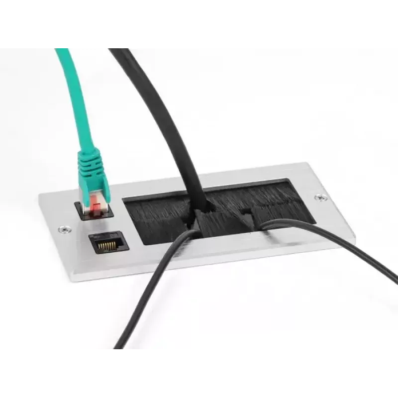 DeLOCK kabeldoorvoer met borstel en 2 x RJ45 Keystone-module Cat.6 aluminium