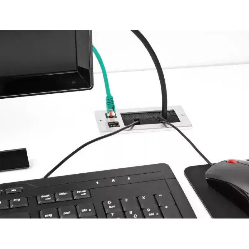 DeLOCK kabeldoorvoer met borstel en 2 x RJ45 Keystone-module Cat.6 aluminium