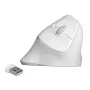Muis DeLOCK 12596 Office rechtshandig RF draadloos 1600 DPI