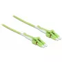 Glasvezelkabel DELOCK 85689 2m LC groen