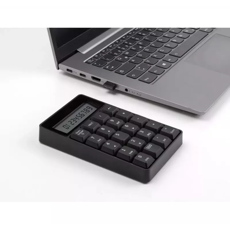 Numeriek toetsenbord DeLOCK 12113 USB zwart 20 toetsen universeel