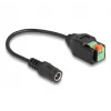 DeLOCK DC 2,1 x 5,5 mm plug naar 2-polige klemmenblok adapter 15 cm