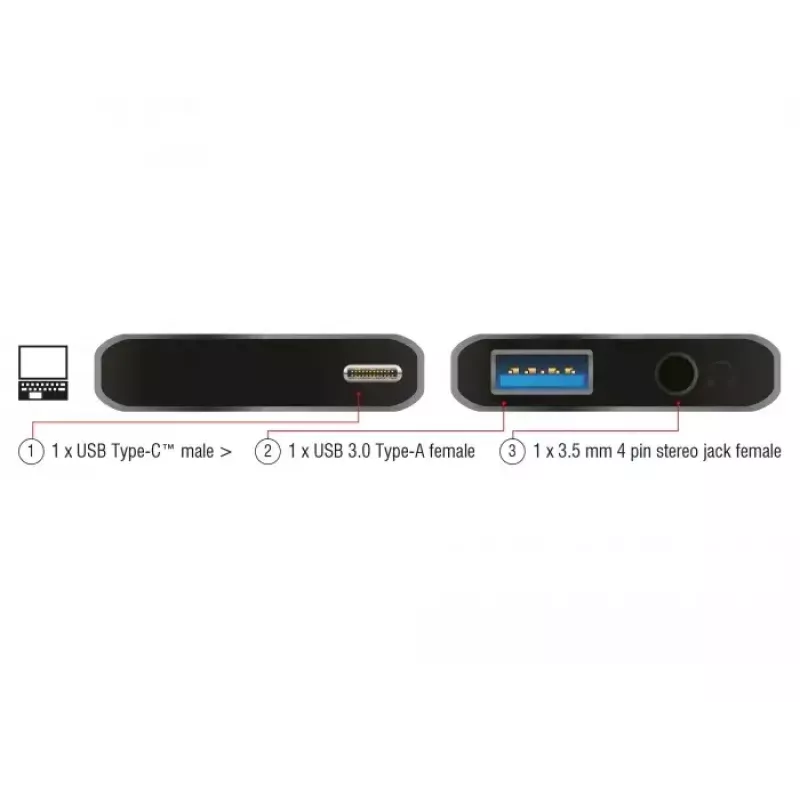 Laptop-dock DeLOCK 63965 antraciet