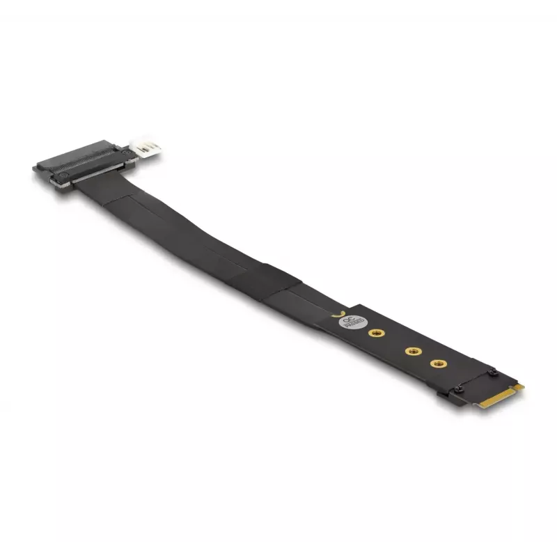 DeLOCK M.2 Key M naar U.2 SFF-8639 NVMe-adapter met 20 cm kabel