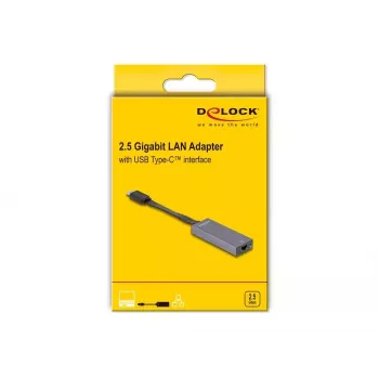 DeLOCK 66248 kabel-adapter RJ-45 USB C grijs 0,09m