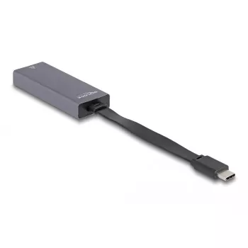 DeLOCK 66248 kabel-adapter RJ-45 USB C grijs 0,09m