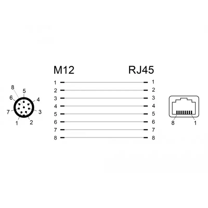 Kabeladapter DeLOCK 66315 M12 RJ45 zwart