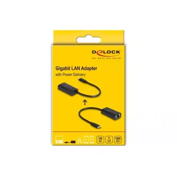 DeLOCK 61026 kabel-gender-changer USB-C naar RJ45 zwart