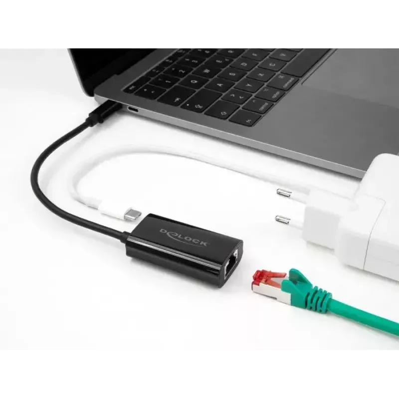 DeLOCK 61026 kabel-gender-changer USB-C naar RJ45 zwart