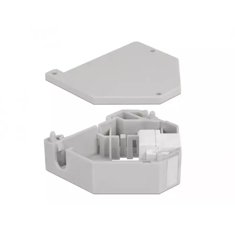 Keystone-module DELOCK 87163 — USB A naar USB A, grijs/wit, 60,1×59,4×21,6 mm