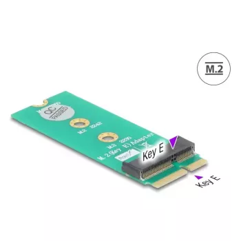 DeLOCK 64340 Interne M.2-adapter host-interface M.2 stekker