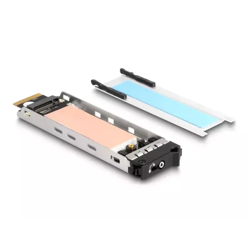 DeLOCK Mobile Rack PCI Express-kaart voor 1 x M.2 NVMe SSD Low Profile
