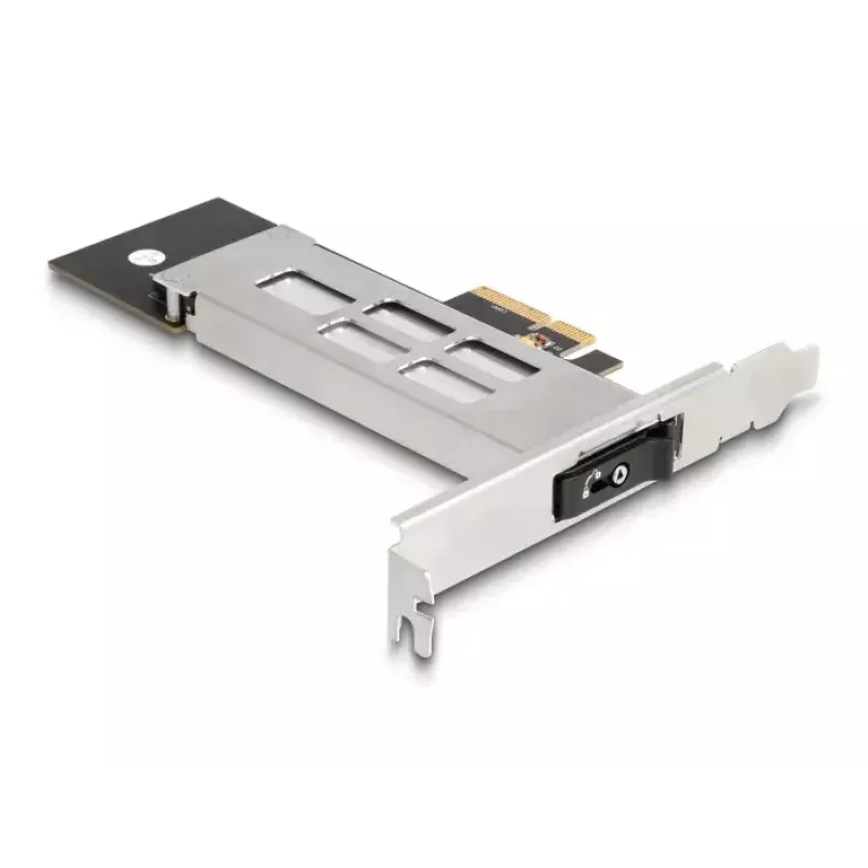 DeLOCK Mobile Rack PCI Express-kaart voor 1 x M.2 NVMe SSD Low Profile