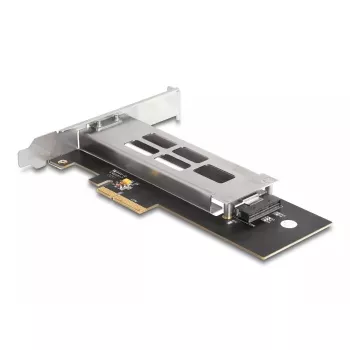 DeLOCK Mobile Rack PCI Express-kaart voor 1 x M.2 NVMe SSD Low Profile