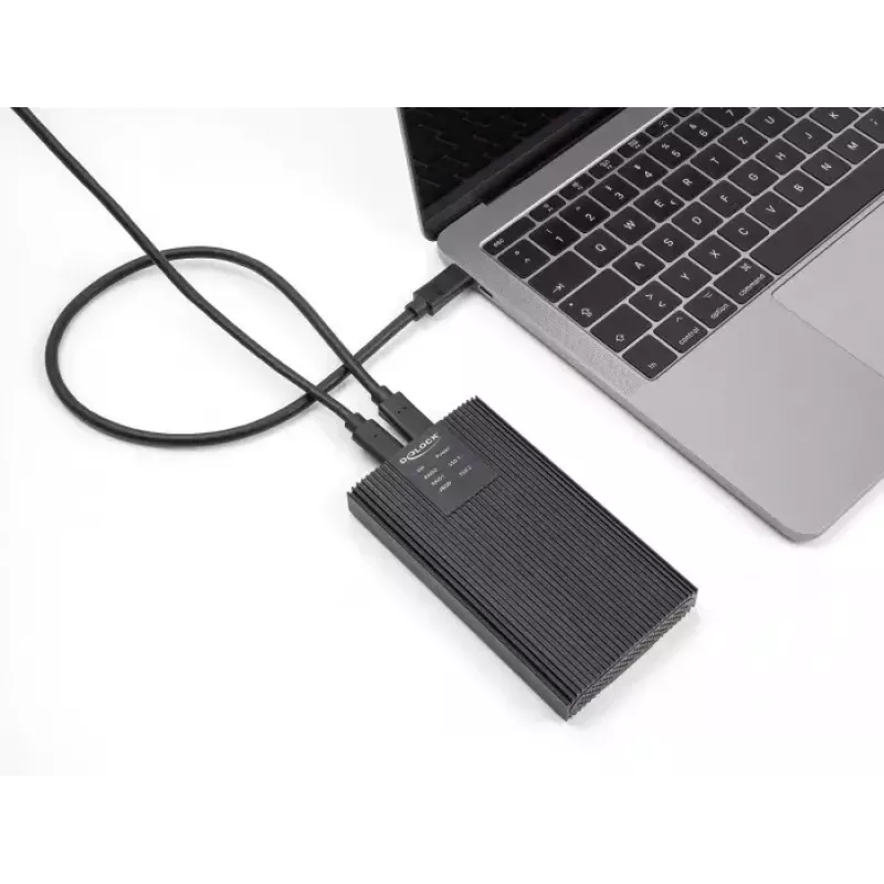 SSD-behuizing DeLOCK 42022 Externe behuizing USB 20 Gbps voor 2 x M.2 NVMe PCIe SSD