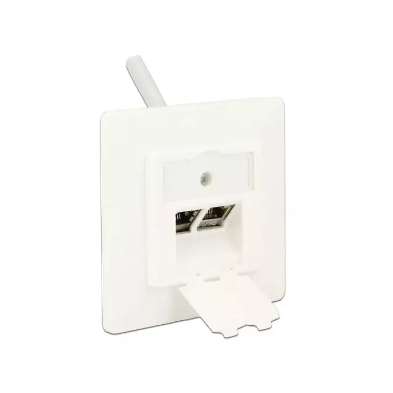 RJ-45 netwerkcontactdoos DeLOCK 86219