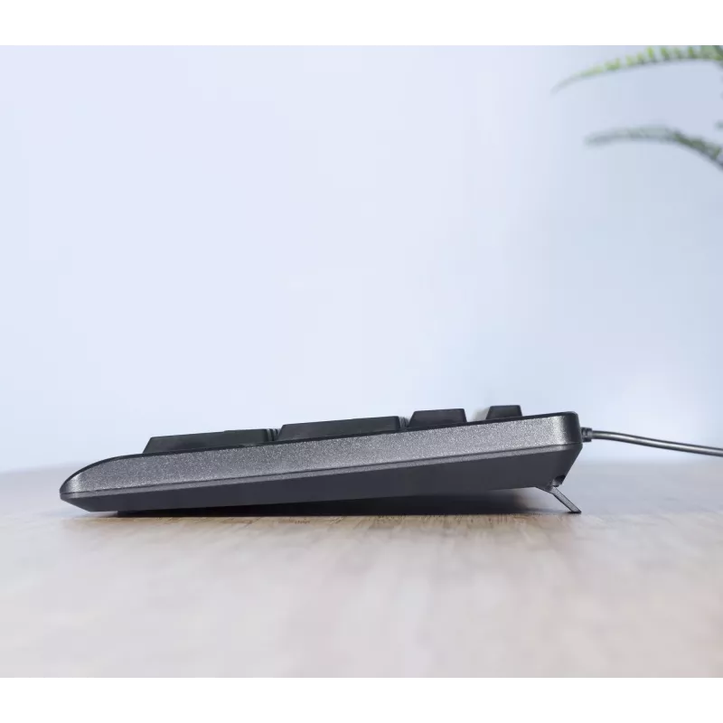 Trust TKM-250 toetsenbord muis inbegrepen kantoor USB QWERTZ Duits zwart