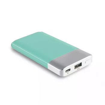 Draagbare powerbank RealPower PB-4000, 4000 mAh