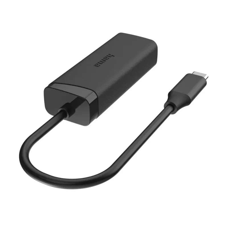 Hama 00200360 interfacekaarten/-adapters RJ-45