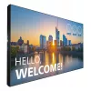 Monitor Philips 55BDL3305X 139,7 cm (55 inch) LCD Full HD 1920 x 1080