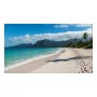 LCD indoor display Sharp PN-UN553V 55 inch Full HD (1920×1080), IPS, 500 cd/m², 3500:1, VESA
