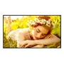 LG 75UL5Q-E signage display digital signage flatscreen 190,5 cm (75 inch) LED WLAN 500 cd/m² 4K Ultra HD zwart WebOS 24/7