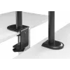 Equip 17 inch-32 inch gelede monitor-tafelhouder