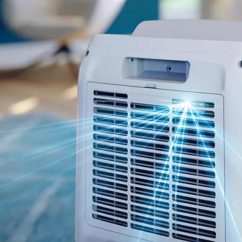 Philips 3000 series DE3306/11 luchtontvochtiger 4 L 51 dB wit, lichtgrijs