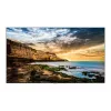 Monitor Samsung QE55T 55 inch LED 4K Ultra HD