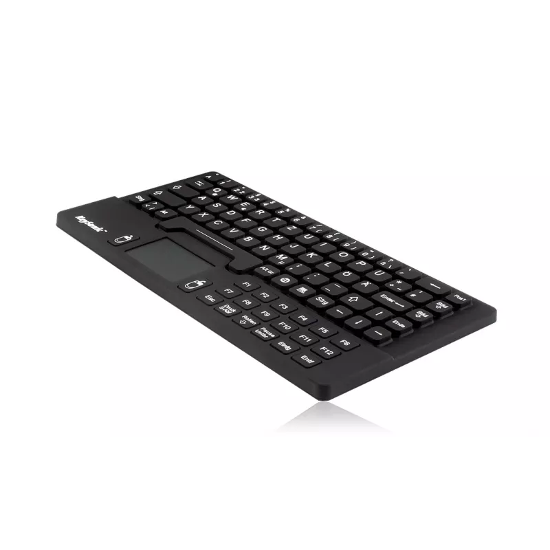KeySonic KSK-5031IN (DE) toetsenbord universeel USB QWERTZ Duits zwart