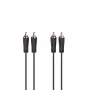 Hama 00205258 audiokabel 3 m 2 x RCA zwart