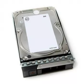 DELL 161-BCJX interne harde schijf 12 TB 7200 RPM 3,5 inch NL-SAS