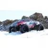 Monstertruck Amewi Terminator radiografisch bestuurd model 1:10