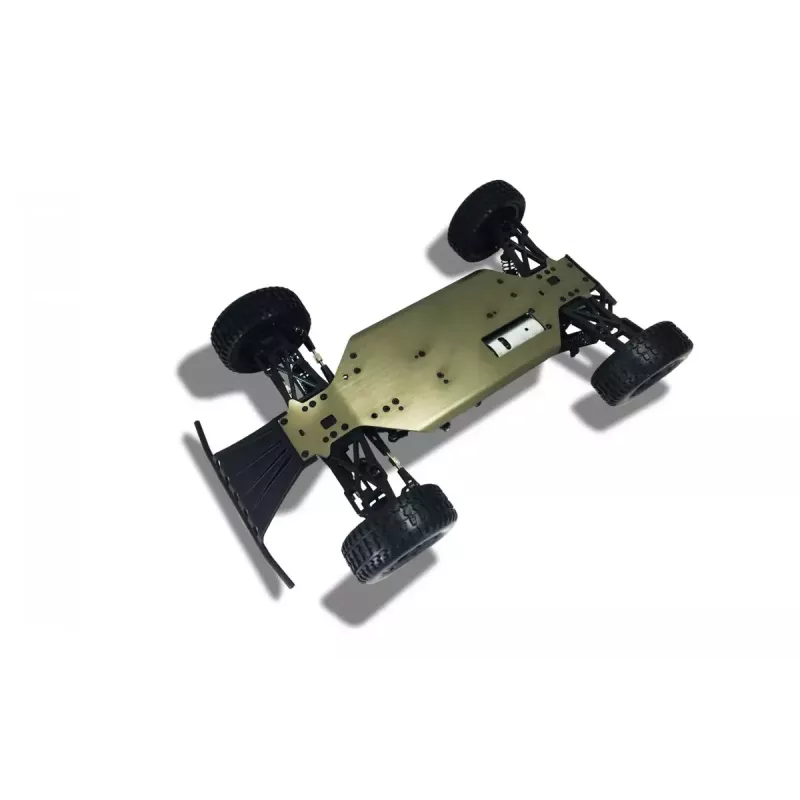 Terreinwagen Amewi Dune radiografisch bestuurd model 1:10